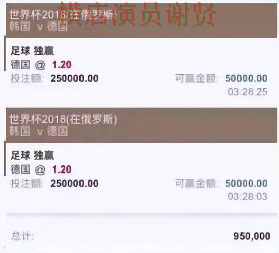 世界杯赛事中心期间热门世界杯投注平台整理与用户反馈分析 世界杯赛事中心期间热门世界杯投注平台整理与用户反馈分析